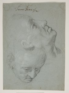 Two Studies of Male Faces