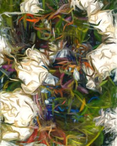 Vibrant Organic Forms by Uma Gokhale