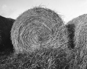 Agriculture in the Essonne October 1983 hay mill straw