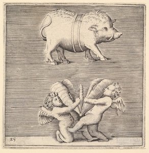 A Belted Pig and Two Cupids or Geniuses with a Butterfly or Moth