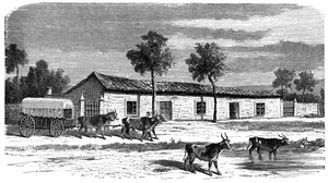 A Boer farm, South Africa