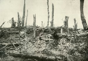 A Dug-Out in What Was Once A Sylvan Wood, 1919