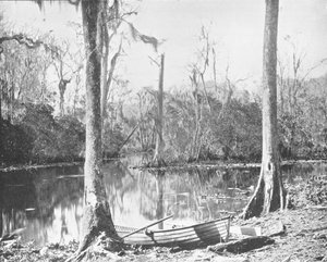 A Feeder of the St. Johns River, Florida, USA, c1900