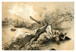 A Frightful Incident, 1883 by Unbekannt