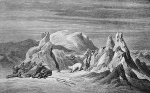 A Party from the Tegetthoff Encounters A Bear by Unbekannt