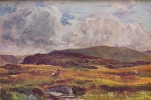 A Path Over the Fields, 1881