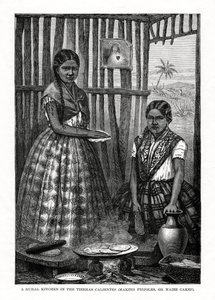 A Rural Kitchen in the Tierras Calientes, Mexico, 1877