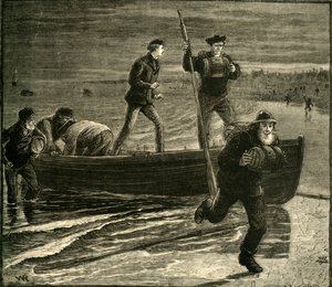 A Smuggling Expedition, 1881