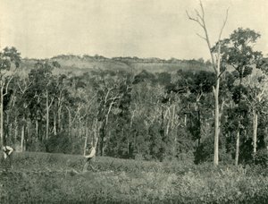 A Victorian Mountain Farm