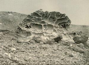 A Weathered Kenyte Boulder Near the Winter Quarters