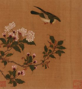 A Bird Hovering Over Blossoming Branches