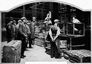 A Corner of Leadenhall Market, London, c1901 by Unbekannt