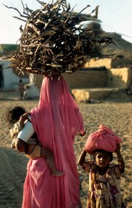A Local Woodcutting Family from a Village in Rajasthan, India (photo)