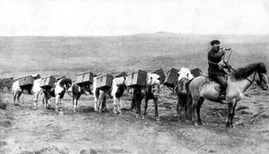 A Mail Caravan Crossing the Icelandic Plains, Iceland