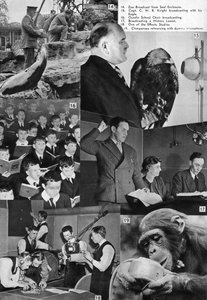 A visit to the BBC, 1937
