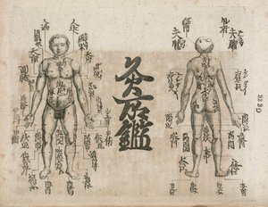 Acupuncture Diagram Showing Where Singeing Should Be Avoided by Unbekannt