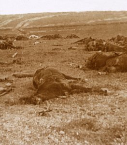 After the charge, Beauséjour, northern France, c1914-c1918 by Unbekannt