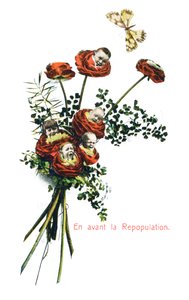 Ahead Repopulation, French Postcard