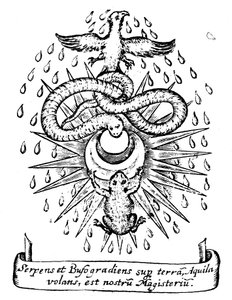 Alchemical Symbolism, 1652 by Unbekannt
