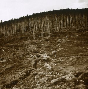 Alsace, c1914-c1918