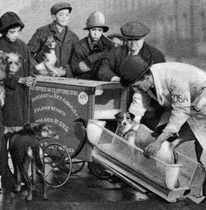 Ambulance of the Dispensary for Sick Animals of the Poor, London, 1926-1927
