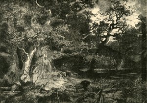 An Old German Forest, 1890