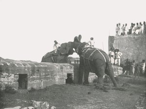 An elephant fight, Hyderabad, India, 1895 by Unbekannt