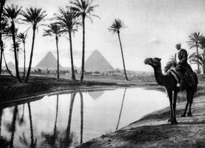 An Oasis near Cairo, Egypt