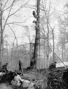 An Observation Point