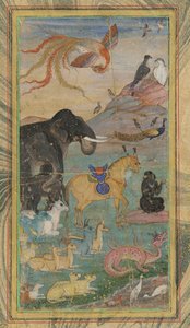 Animals and Birds by Unbekannt