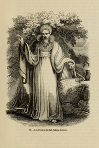 Arch-Druid in his full Judicial Costume, from the book Old England: A Pictorial Museum by Unbekannt