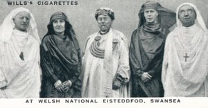 At Welsh National Eisteddfod, Swansea by Unbekannt