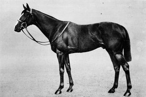 Bachelors Double