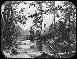 Backwoods, Western USA by Unbekannt