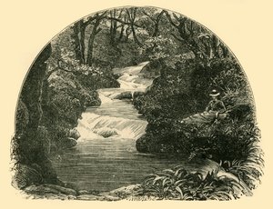 Bagworthy Waterslide