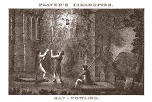 Bat-Fowling