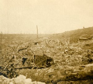Battlefield, Bezonvaux, Verdun, Northern France