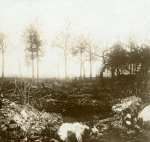 Battlefield, Roeselare, Flanders, Belgium