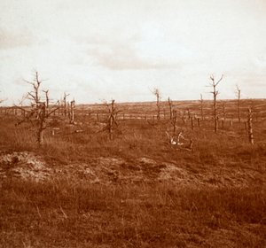 Battlefield, Tahure, Northern France
