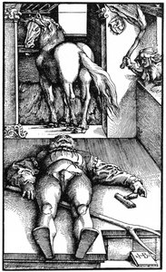Bewitched Groom, Sleeping Groom and a Sorceress