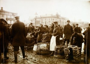 Bird market, Trubnaya Square, Moscow, Russia, 1908 by Unbekannt