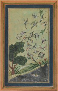 Birds at Baran, possibly from the Babur-nama by Unbekannt