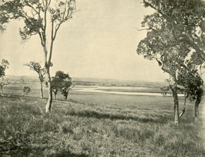 Black Swan Lagoon, near Warwick, Queensland