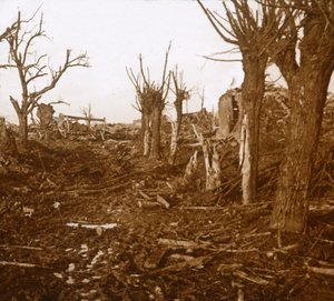 Blasted Landscape, Belloy-en-Santerre, Northern France, c1914-c1918