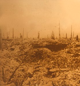 Bois du Chapitre, Vaux, northern France