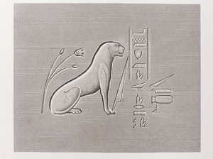 Book: Description of Egypt