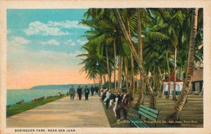 Borinquen Park, Near San Juan by Unbekannt