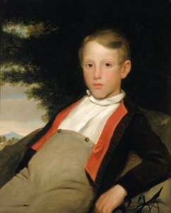 Boy in a Landscape