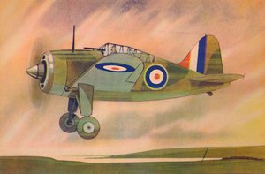 Brewster Buffalo Fighter Monoplane by Unbekannt