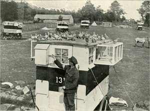 British Army Carrier Pigeons in France: Horse-Drawn Lofts